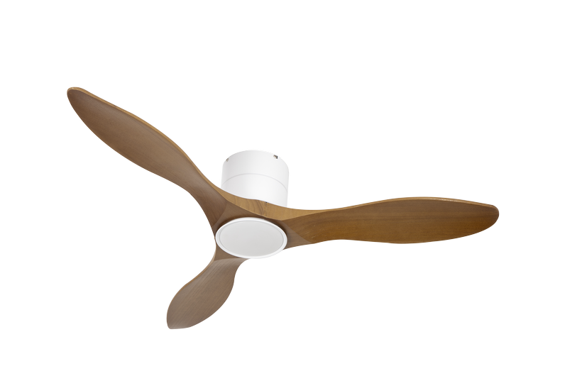 מאוורר PALMA צמוד תקרה DC 35W - גימור לבן - כנפיים עץ אגוז  קוטר   48 אינץ'